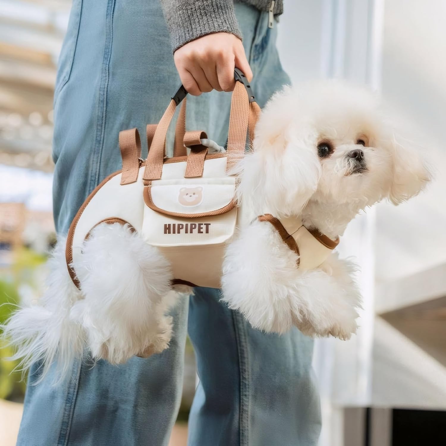 Small dog with fluffy white fur standing next to a beige and brown pet bag with 'HIPIPET' branding.